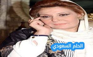 من هي زيزي مصطفى ويكيبيديا