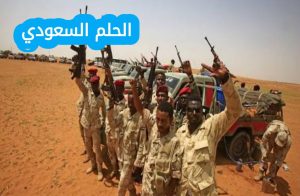 من هي قوات الدعم السريع في السودان