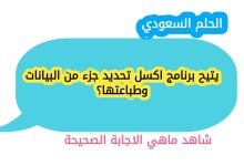 يتيح برنامج اكسل تحديد جزء من البيانات وطباعتها؟