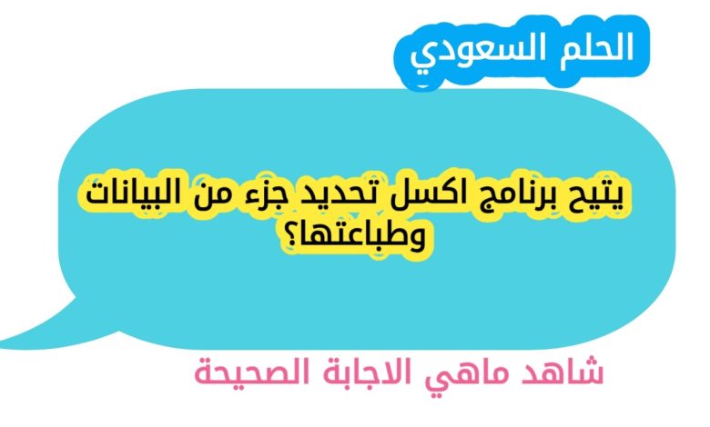 يتيح برنامج اكسل تحديد جزء من البيانات وطباعتها؟