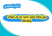 يتيح برنامج اكسل تحديد جزء من البيانات وطباعتها