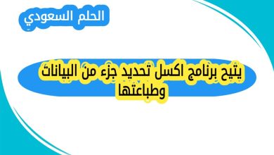 يتيح برنامج اكسل تحديد جزء من البيانات وطباعتها