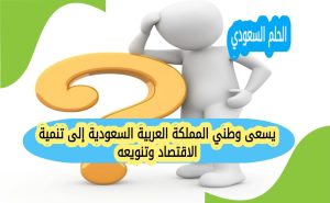 يسعى وطني المملكة العربية السعودية إلى تنمية الاقتصاد وتنويعه