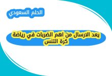 يعد الارسال من اهم الضربات في رياضة كرة التنس