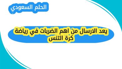 يعد الارسال من اهم الضربات في رياضة كرة التنس