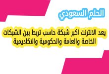 يعد الانترنت اكبر شبكة حاسب تربط بين الشبكات الخاصة والعامة والحكومية والاكاديمية