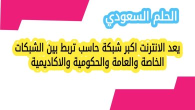 يعد الانترنت اكبر شبكة حاسب تربط بين الشبكات الخاصة والعامة والحكومية والاكاديمية