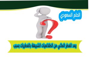 يعد الفطر المائي من الطلائعيات الشبيهة بالفطريات بسبب