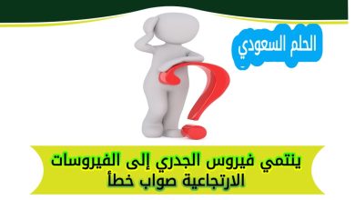 ينتمي فيروس الجدري إلى الفيروسات الارتجاعية صواب خطأ
