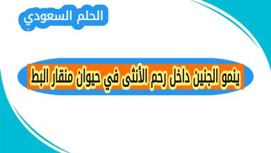 ينمو الجنين داخل رحم الأنثى في حيوان منقار البط
