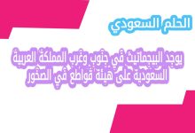 يوجد البيجماتيت في جنوب وغرب المملكة العربية السعودية