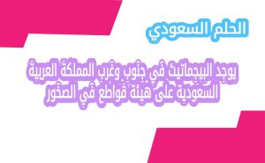 يوجد البيجماتيت في جنوب وغرب المملكة العربية السعودية 