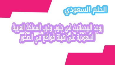 يوجد البيجماتيت في جنوب وغرب المملكة العربية السعودية