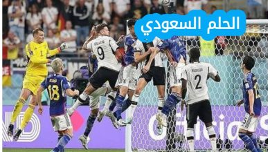 في بطولة FIFA World Cup TM لعام 2002 من سجل هدف التعادل 1-1 لصالح اليابان ضد بلجيكا