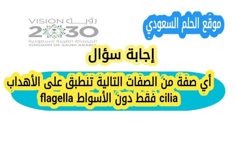 حل سؤال أي صفة من الصفات التالية تنطبق على الأهداب cilia فقط