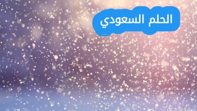 عبارات عن الشتاء قصيرة