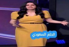 السيرة الذاتية سارة بن عيشوبة