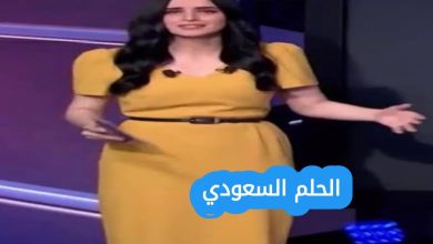 السيرة الذاتية سارة بن عيشوبة