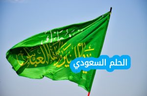 عدد السكان في السعودية لعام 2026