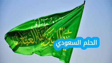عدد السكان في السعودية لعام 2026