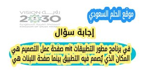 في برنامج مطور التطبيقات mit صفحة عمل التصميم هي