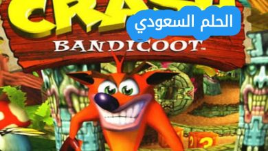 متى نزلت لعبة كراش لأول مرة؟