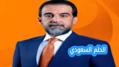 محمد الحلبوسي السيرة الذاتية