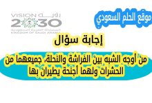 من أوجه الشبه بين الفراشة والنحلة جميعهما من الحشرات ولهما أجنحة يطيران بها