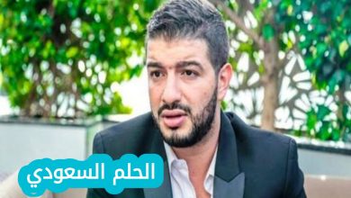 حمزة الفيلالي ويكيبيديا