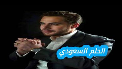 دور طارق نعمو في التحالف السوري الأمريكي