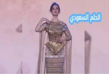 ردود الفعل حول شيرين أحمد طارق