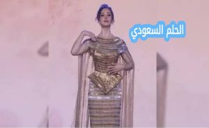 ردود الفعل حول شيرين أحمد طارق