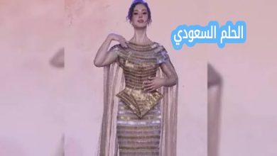 ردود الفعل حول شيرين أحمد طارق