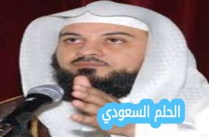 محمد العريفي ويكيبيديا