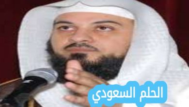 محمد العريفي ويكيبيديا
