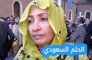 أميرة قرناص ويكيبيديا