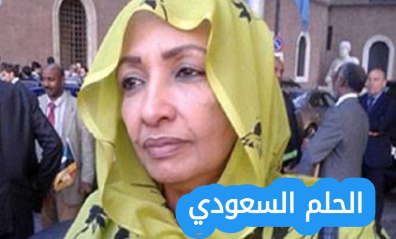 أميرة قرناص ويكيبيديا