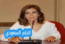 السيرة الذاتية دارين سليمان