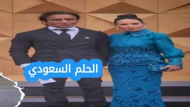 زوجة أحمد عز شاهيناز النجار