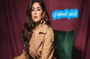 سبب شهرة ميرفت سلامة