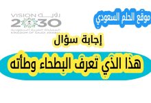 كيف تحصل حيوانات الصحراء على الماء