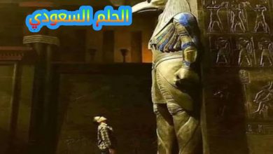 هل تعلم متى تم إنشاء المتحف المصري