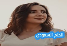 مسيرة ولاء الجندي الفنية