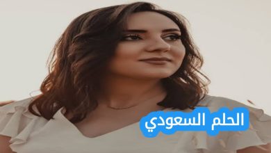 مسيرة ولاء الجندي الفنية