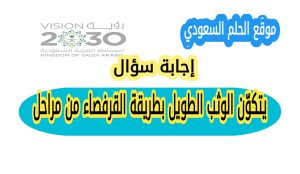 يتكوّن الوثب الطويل بطريقة القرفصاء من مراحل