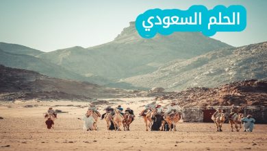 السعدون وش يرجعون الدليل الكامل