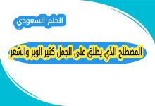 المصطلح الذي يطلق على الجمل كثير الوبر والشعر