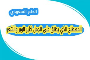 المصطلح الذي يطلق على الجمل كثير الوبر والشعر