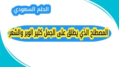 المصطلح الذي يطلق على الجمل كثير الوبر والشعر