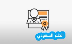 ما هي الرخصة المهنية